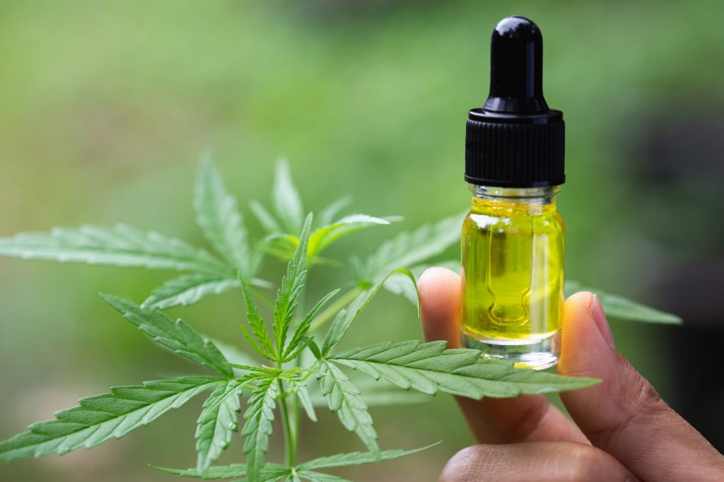 can cbd oil improve immunity